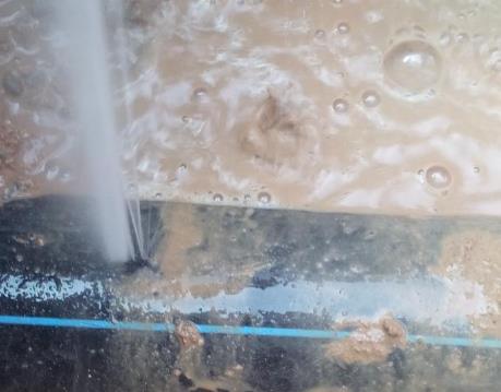 清水河卫生间防水哪家好